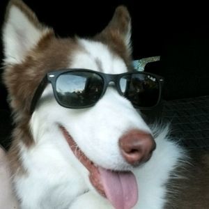 Meet your Posher, Kyle